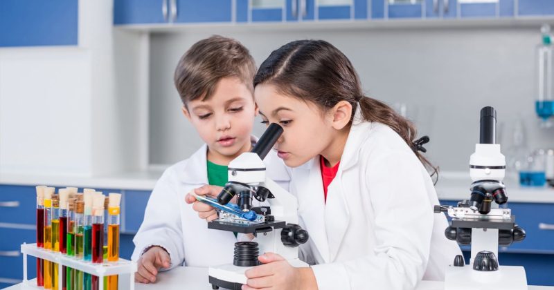 ▎VI Региональный чемпионат «Точка роста» – Движение Вперед